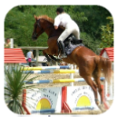 Equitation